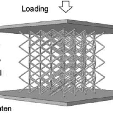 Analysis and optimization of strut